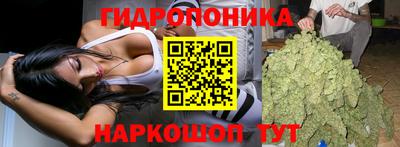 ALPHA PVP Коммунар