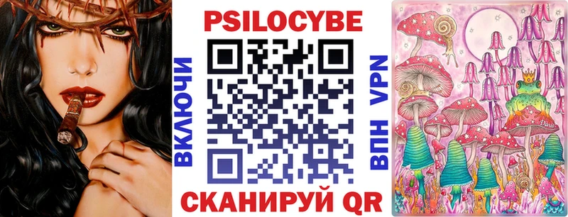 Псилоцибиновые грибы Psilocybe Каспийск